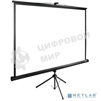 Экран Cactus 165x220 см TriExpert CS-PSTE-220х165-BK 4:3 напольный рулонный