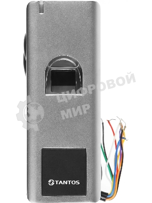 Считыватель карт Tantos TS-RDR-Bio 3 уличный антивандальный
