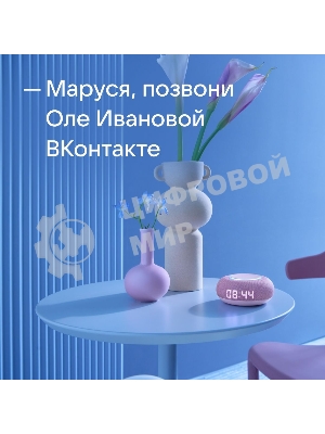Умная колонка VK Капсула Мини 5Вт, с голосовым ассистентом Маруся, с LED-часами, розовый (MRC02PI)