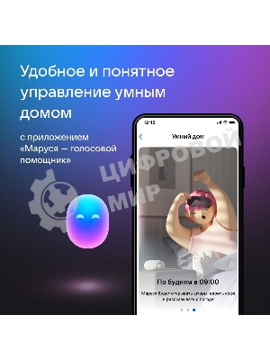 Умная колонка VK Капсула Мини 5Вт, с голосовым ассистентом Маруся, с LED-часами, розовый (MRC02PI)