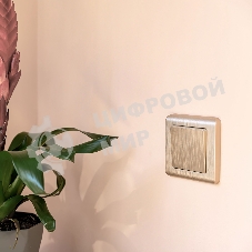 Рамка на 1 пост (шампань) W0012111
