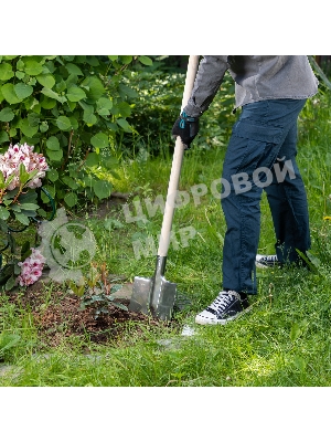 Лопата штыковая Сибртех нерж. сталь, 200х265 мм, ребра жесткости, без черенка, Россия