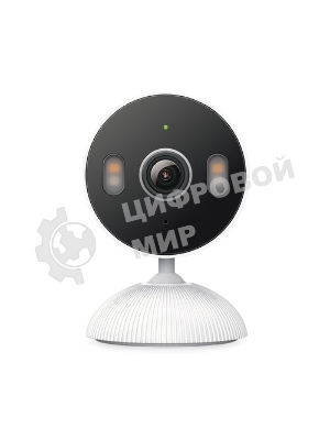Внутренняя/наружная умная Wi-Fi камера TP-Link Tapo C113