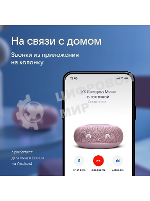 Умная колонка VK Капсула Мини 5Вт, с голосовым ассистентом Маруся, с LED-часами, розовый (MRC02PI)