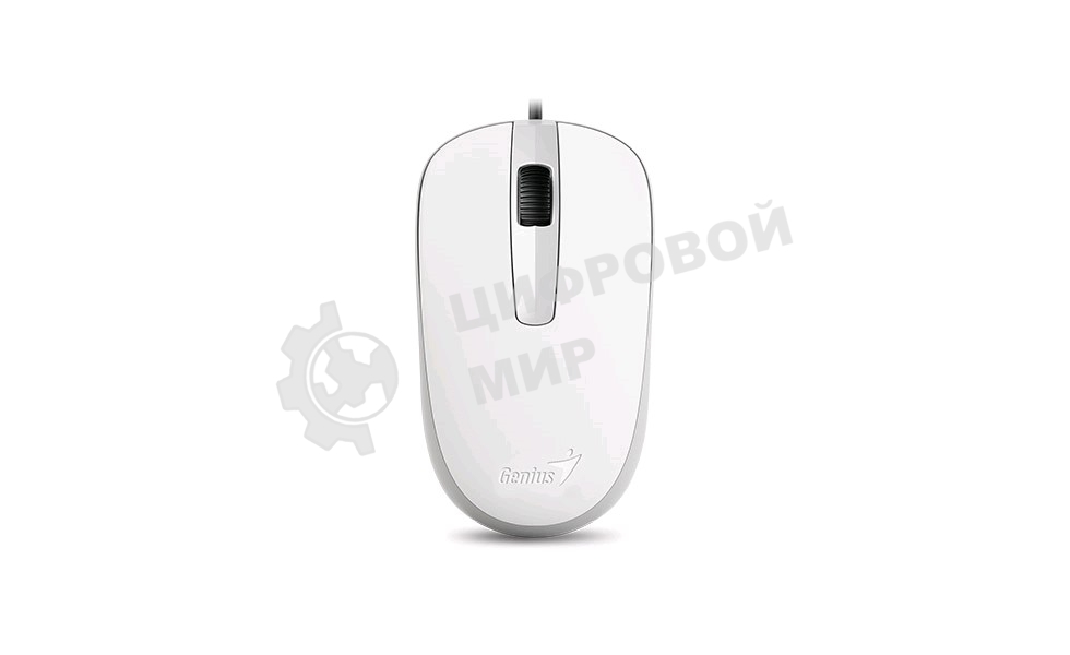 Мышь проводная Genius DX-120 белый, 1000 dpi, USB, кнопки - 3