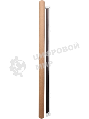 Экран Cactus 150x150 см Map type CS-PSRM-150x150-BK 1:1 настенно-потолочный рулонный черный