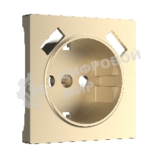 Накладка для розетки USB (шампань)