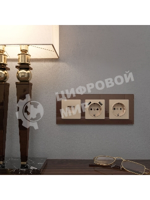 Накладка для розетки USB (шампань)