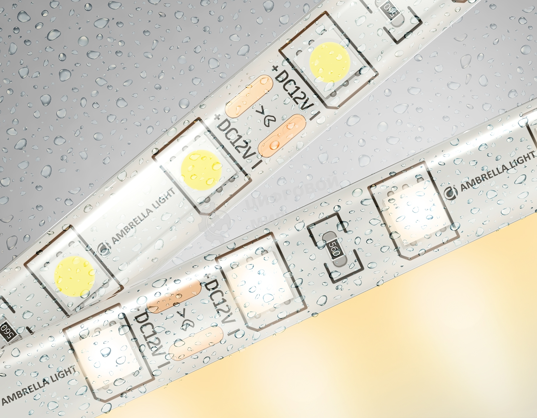 Светодиодная лента Ambrella light GS2101 5050 60Led/ 14.4W m/ 12V IP65 3000K/ 5000*10*2.87mm (2 конт.)