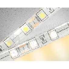 Светодиодная лента Ambrella light GS2101 5050 60Led/ 14.4W m/ 12V IP65 3000K/ 5000*10*2.87mm (2 конт.)