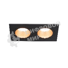 Встраиваемый точечный светильник Ambrella light TN102833/2 BK/GD черный/золото GU5.3/2 178*93*50
