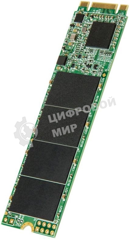 Накопитель SSD Transcend MTS820, 240GB, M.2, SATA III, R/W 550/420