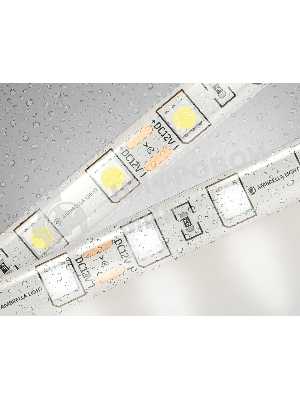 Светодиодная лента Ambrella light GS2102 5050 60Led/ 14.4W m/ 12V IP65 4500K/ 5000*10*2.87mm (2 конт.)