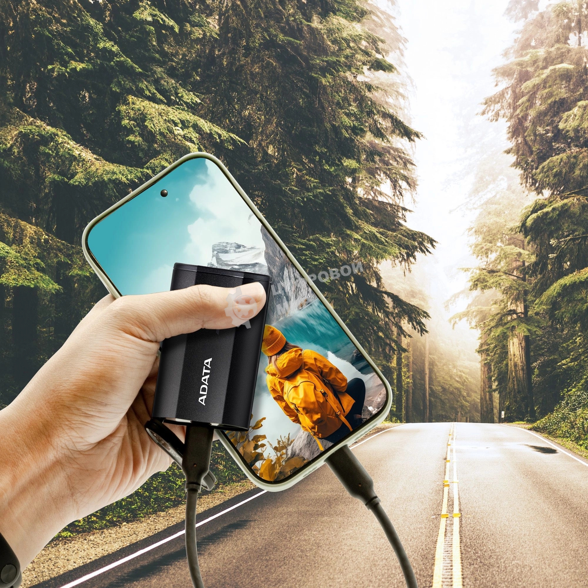 Внешний SSD ADATA SD810, 500 Gb, USB 3.2 Gen 2x2 Type-C, R/W 2000/2000, черный