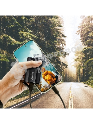 Внешний SSD ADATA SD810, 500 Gb, USB 3.2 Gen 2x2 Type-C, R/W 2000/2000, черный