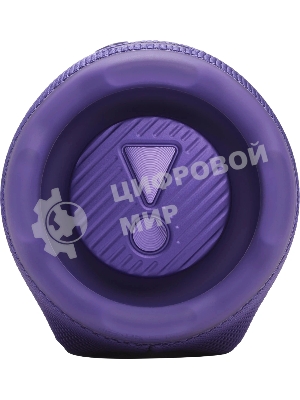 Портативная акустика JBLCHARGE6PUR пурпурный