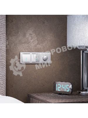 Рамка на 3 поста (серебряный) W0032106