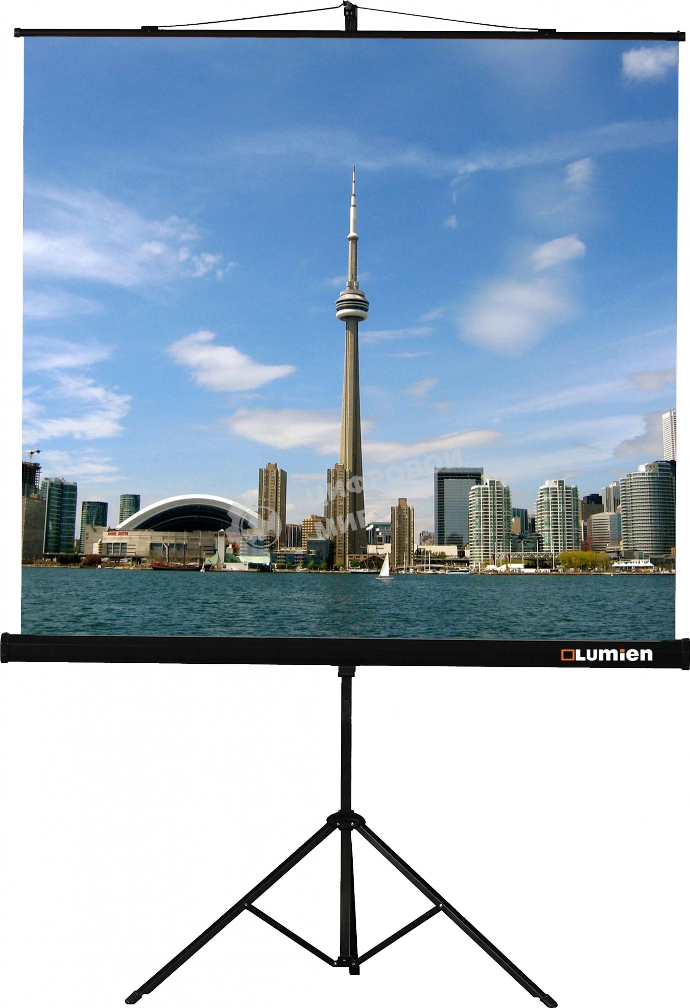 Экран на штативе Lumien Eco View 153x153см (раб.область 147х147 см) Matte White с возможностью настенного крепления 1:1