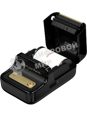 Термопринтер Niimbot B21S (1746727) 203dpi 60мм/с/USB/BT для печ.этик. черный