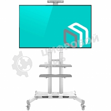 Стойка для телевизора с кронштейном ONKRON TS1881 50