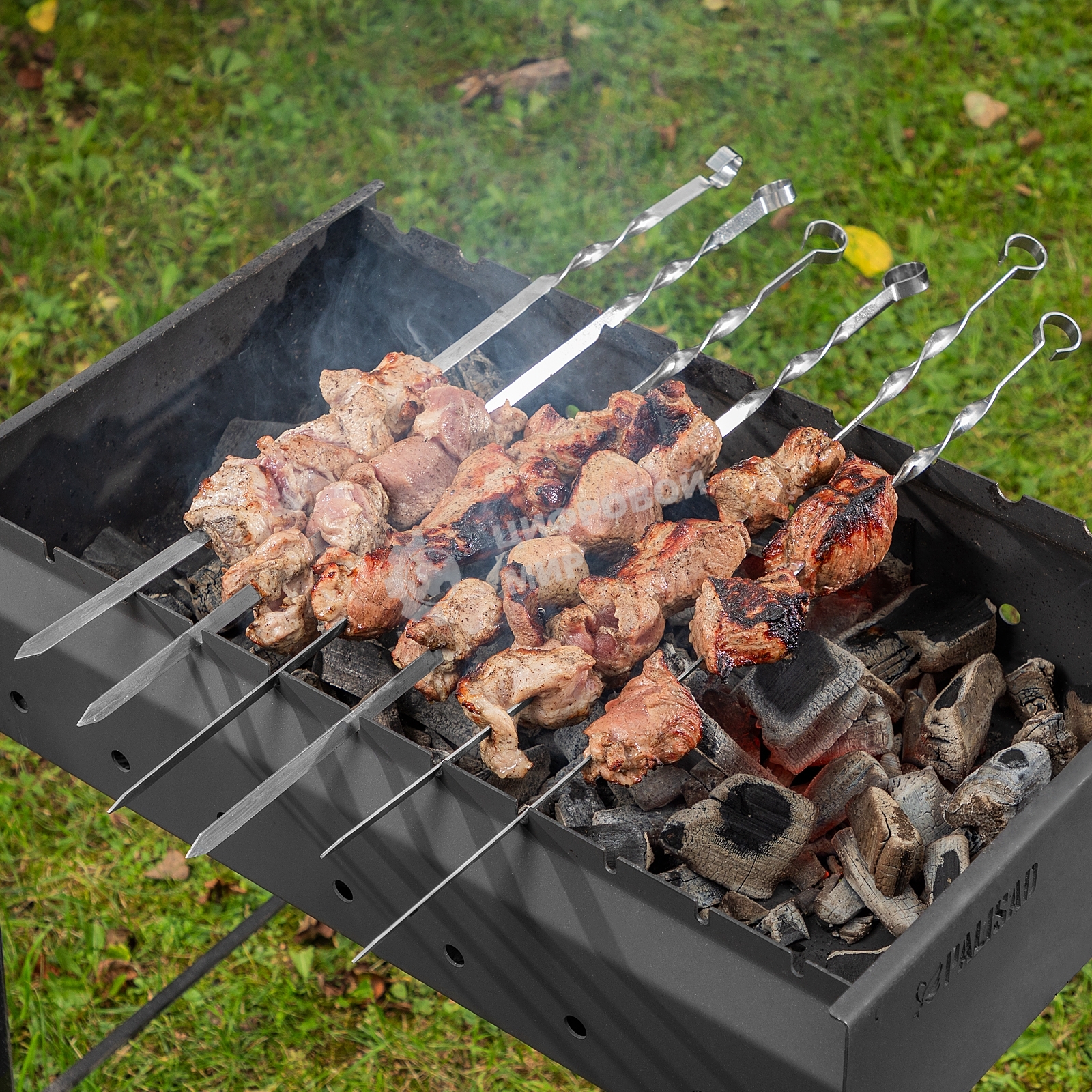 Шампуры с чехлом Camping Palisad 60 см (6шт.)