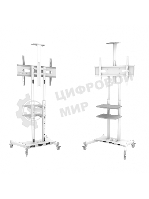 Стойка для телевизора с кронштейном ONKRON TS1881 50