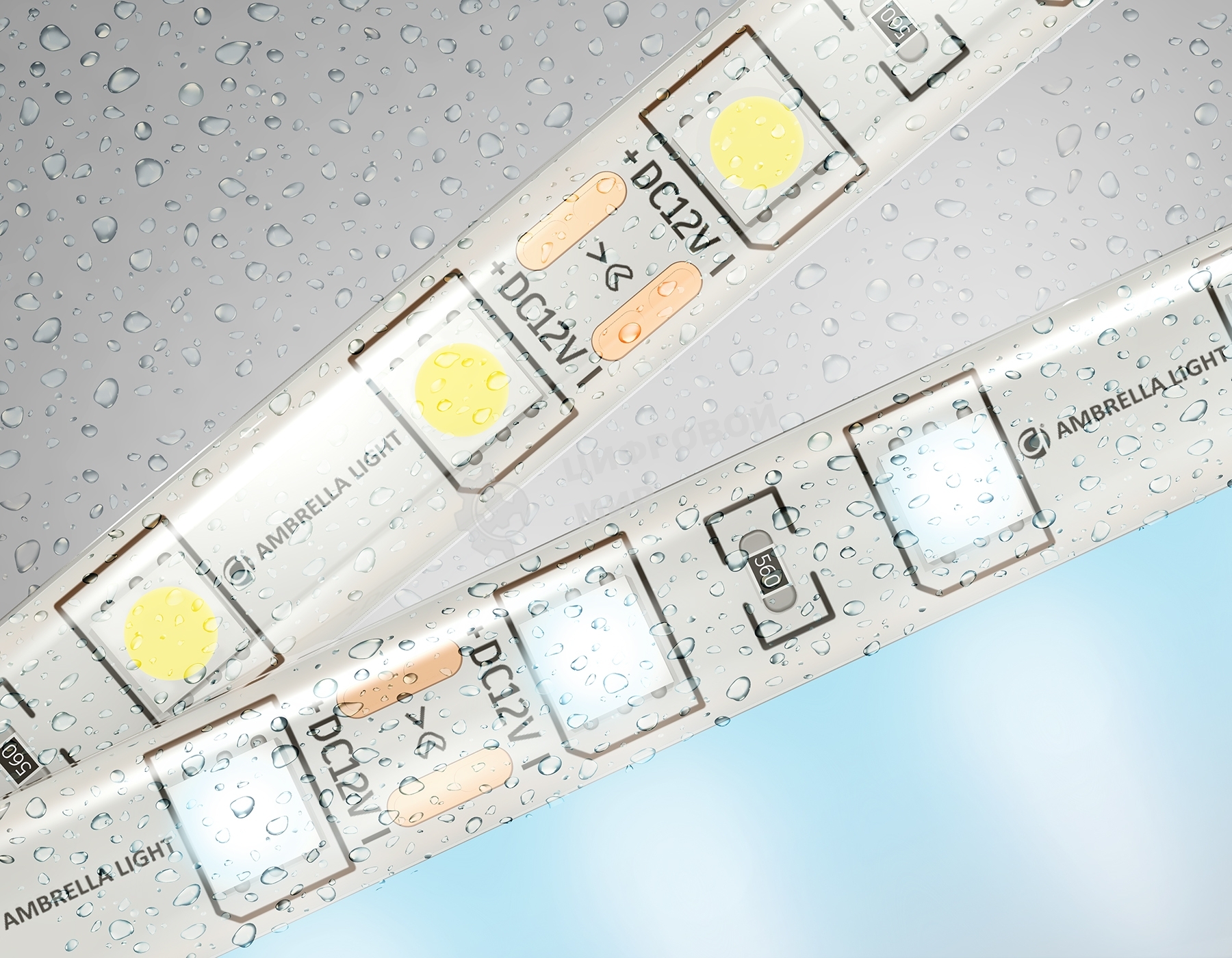 Светодиодная лента Ambrella light GS2103 5050 60Led/ 14.4W m/ 12V IP65 6500K/ 5000*10*2.87mm (2 конт.)