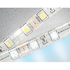 Светодиодная лента Ambrella light GS2103 5050 60Led/ 14.4W m/ 12V IP65 6500K/ 5000*10*2.87mm (2 конт.)