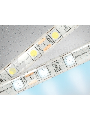 Светодиодная лента Ambrella light GS2103 5050 60Led/ 14.4W m/ 12V IP65 6500K/ 5000*10*2.87mm (2 конт.)