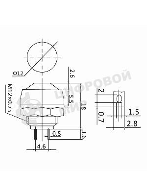 Выключатель кнопочный Rexant 250V 1А (2с) OFF-(ON) Б/Фикс зеленая Micro