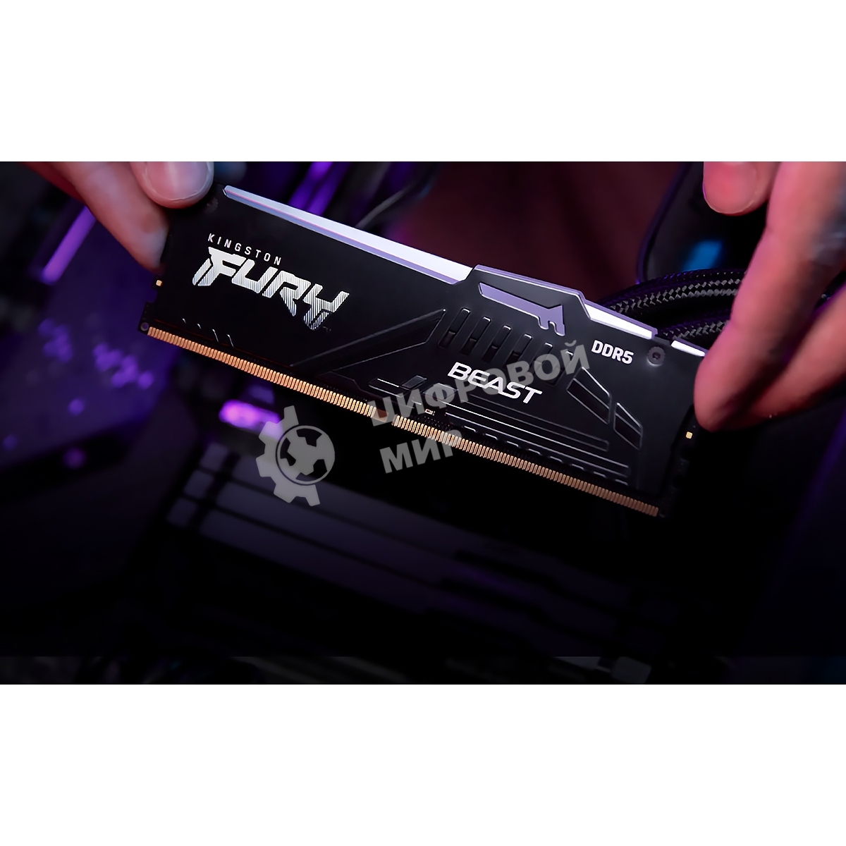 Оперативная память Kingston Fury Beast, DDR5, 32Gb (1x32GB), 5600MHz, CL36, DIMM, радиатор, RGB, черный