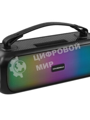 Колонка беспроводная Soundmax SM-PS5031B(черный)