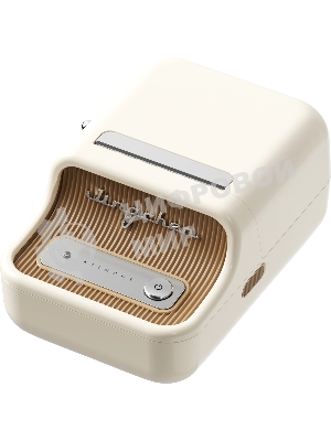 Термопринтер Niimbot B21S (1746728) 203dpi 60мм/с/USB/BT для печ.этик. белый