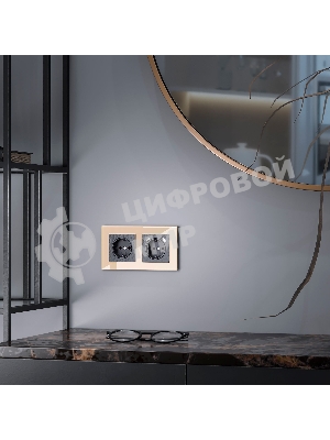 Рамка WERKEL на 2 поста (шампань,стекло) W0021111