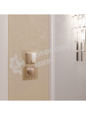 Рамка WERKEL на 2 поста (шампань,стекло) W0021111