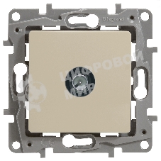 Розетка телевизионная TV Звезда сл. кость ETIKA