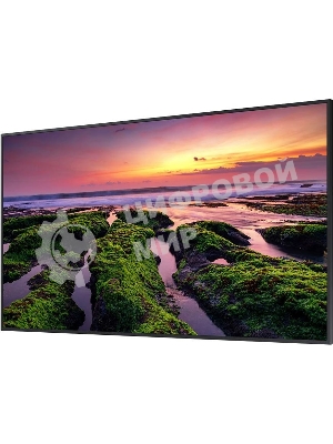 Панель Samsung QB75B черный, 75 