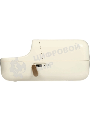 Термопринтер Niimbot B21S (1746728) 203dpi 60мм/с/USB/BT для печ.этик. белый