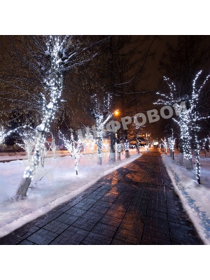 Гирлянда Neon-night LED Клип-лайт 12 V, прозрачный ПВХ, 150 мм, цвет диодов белый Flashing (белый)