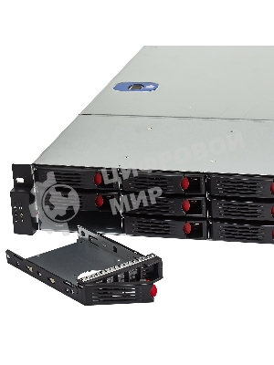 Серверный корпус ExeGate Pro EX293180RUS 2U550-HS12 (RM 19