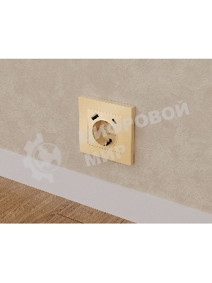 Комплект механизма электрической розетки ALFA Шампань 2USB A+C 20W (быстрая зарядка) с/з QUANT (AP6100, VM160) MA610010