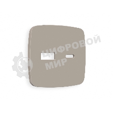 Лицевая панель OMEGA (Серо-бежевый матовый) для розетки 2USB A+C QUANT OP3710
