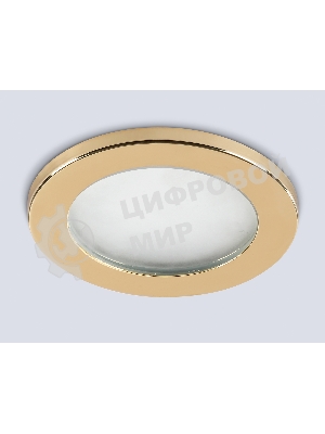 Светильник Ambrella light TN6634 GD золото IP44 GX53 D100*60