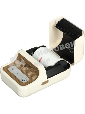 Термопринтер Niimbot B21S (1746728) 203dpi 60мм/с/USB/BT для печ.этик. белый