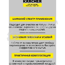 Очиститель Karcher WV 2 Black Edition