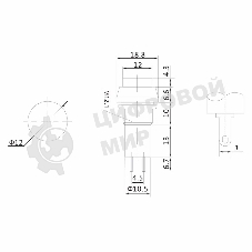 Выключатель-кнопка Rexant 250V 1А (2с) (ON)-OFF Б/Фикс зеленый
