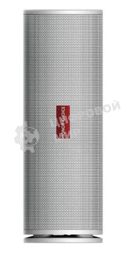 Акустическая система Honor Choice BTH 30W белый PRO 5504AAVN VNC-ME00
