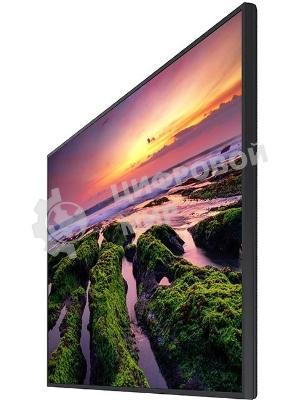 Панель Samsung QB75B черный, 75 