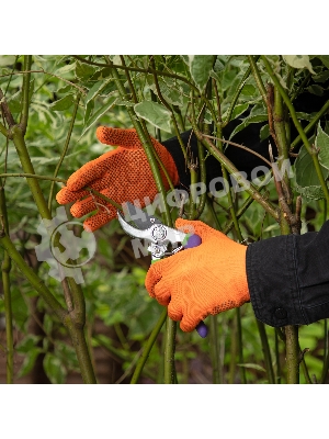 Перчатки в наборе Palisad 5 пар, цвета в ассортименте, ПВХ точка, L