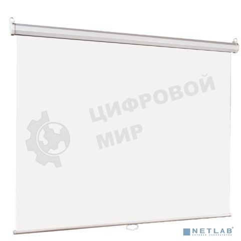 Экран Lumien 214x214см Eco Picture LEP-100110 1:1 настенно-потолочный рулонный